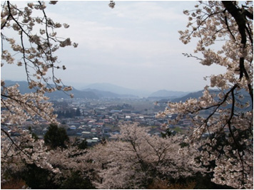 城下町桜めぐり　まちなかハイキングの写真1