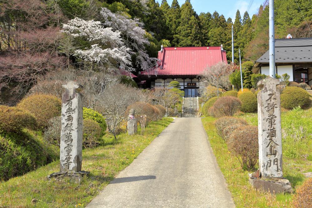 長遠寺のしだれ桜の写真1